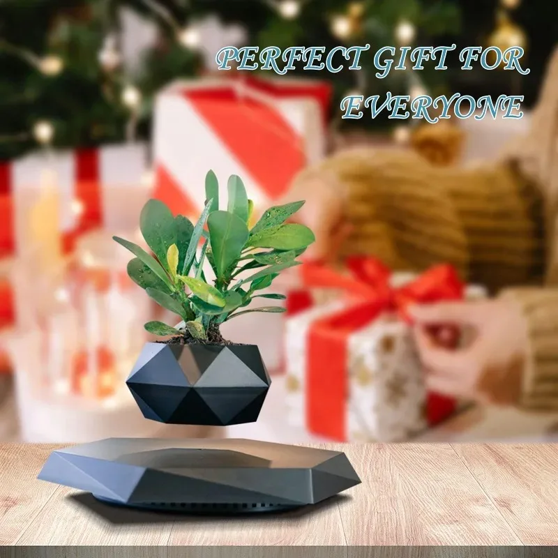 Plant Pot - Pot Tanaman Mengambang, Pot Bonsai Udara,