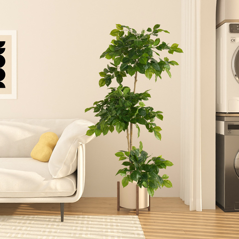 2-78in Tanaman Palsu Besar Bua - Fiddle Leaf Fig ulasan dan harga
