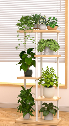 Rak Tanaman Berlapis Banyak da - Indoor Plants ulasan dan harga