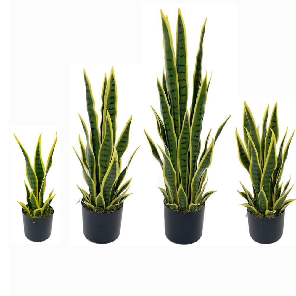 Tanaman Sansevieria Buatan 40- - Snake Plant ulasan dan harga