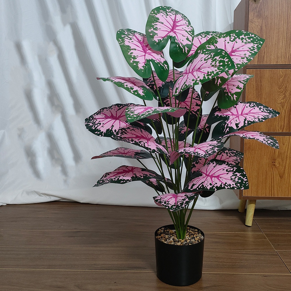 Tanaman pot bunga buatan daun  - Snake Plant ulasan dan harga
