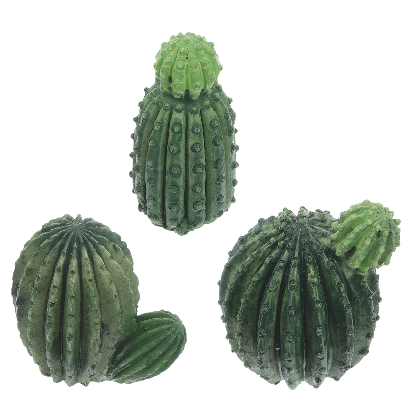 Set Tanaman Sukulen Kaktus Min - Succulent Set ulasan dan harga