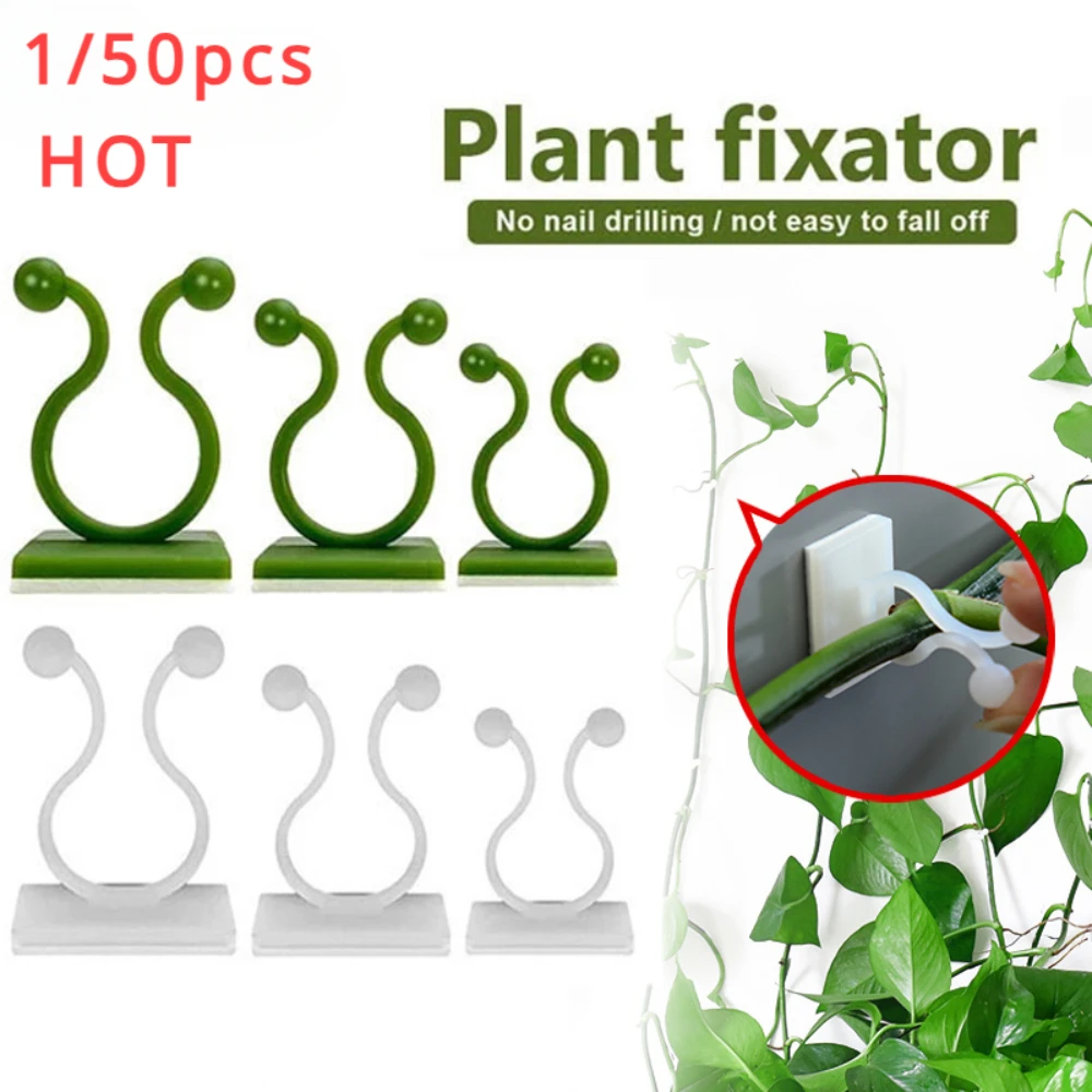 1/30/50 buah untuk pot taman & - Plant Support Stake ulasan dan harga