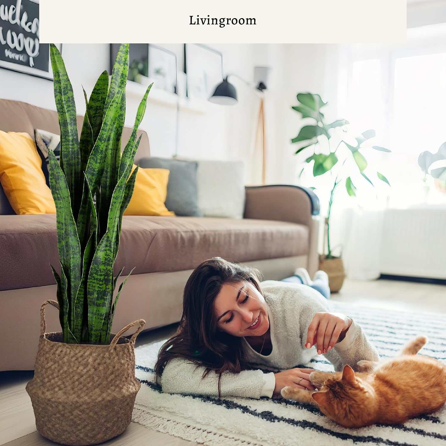 Tanaman Hias Buatan Berbentuk  - Snake Plant ulasan dan harga