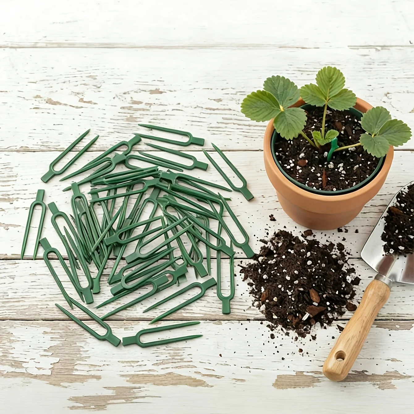 50 buah Garpu Penyangga Tanama - Plant Support Stake ulasan dan harga