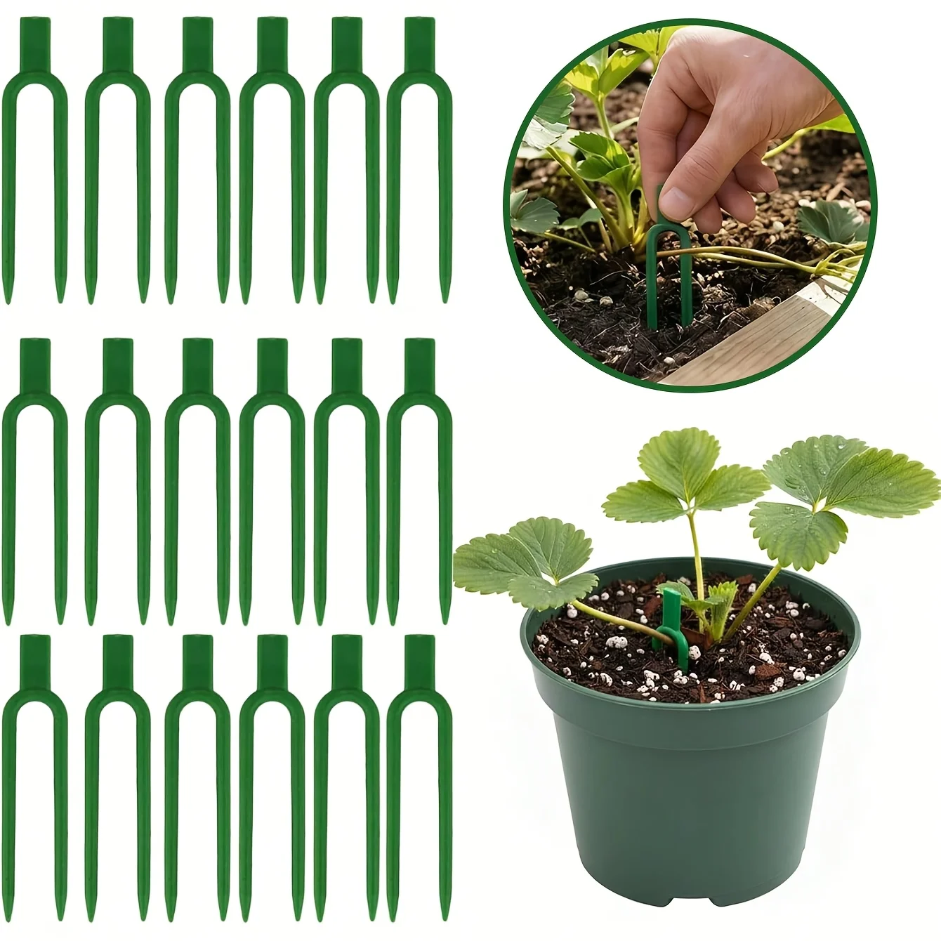 50 buah Garpu Penyangga Tanama - Plant Support Stake ulasan dan harga