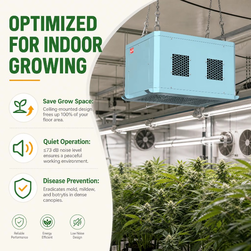 Pengering Udara Rumah Kaca yan - Indoor Plants ulasan dan harga